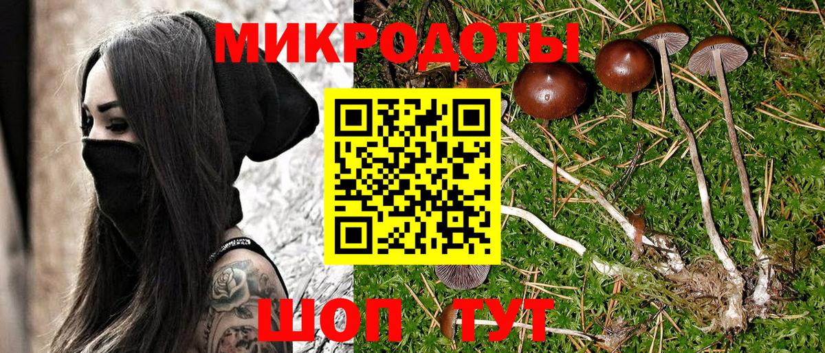 Галлюциногенные грибы прущие грибы Верхний Уфалей