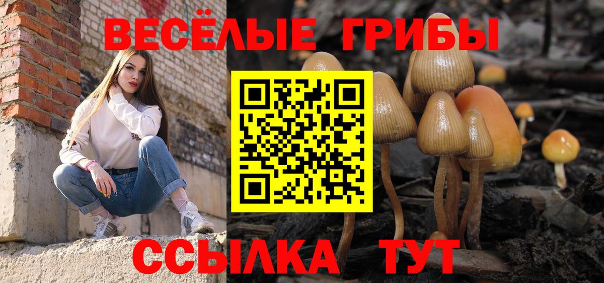 Галлюциногенные грибы мицелий  купить  цена  Верхний Уфалей  Вход с VPN 