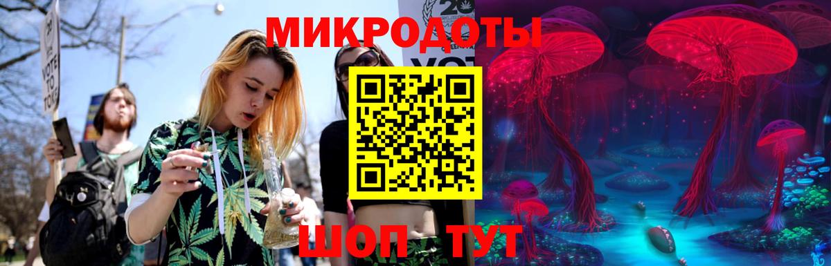 Псилоцибиновые грибы Psilocybe Верхний Уфалей