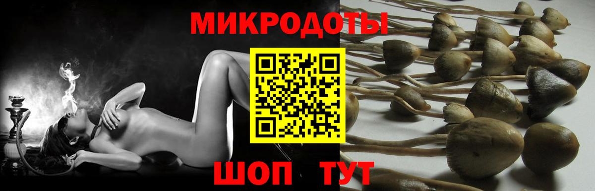 Галлюциногенные грибы Magic Shrooms  Верхний Уфалей  Псилоцибиновые грибы Cubensis 