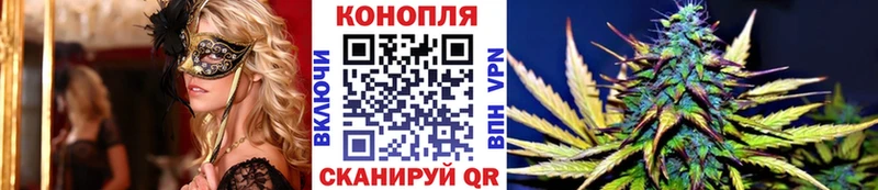 цены Верхний Уфалей Бошки марихуана OG Kush